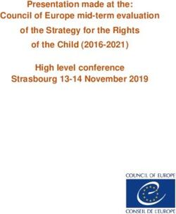 Presentation made at the: Council of Europe mid-term evaluation of the Strategy for the Rights of the Child (2016-2021) High level conference ...