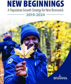 NEW BEGINNINGS 2019-2024 - A Population Growth Strategy for New Brunswick - Government of New Brunswick