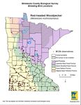 Red-headed Woodpecker Minnesota Conservation Plan