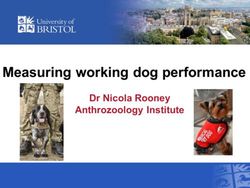 Measuring working dog performance - Dr Nicola Rooney Anthrozoology Institute