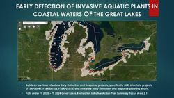 EARLY DETECTION OF INVASIVE AQUATIC PLANTS IN COASTAL WATERS OF THE GREAT LAKES