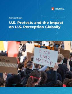U.S. Protests and the Impact on U.S. Perception Globally - Premise Report