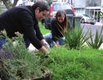 ZERO CARBON EVOLUTION - Getting on track to a carbon neutral Moreland community - Moreland City Council