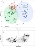 Compared to conventional, ecological intensive management promotes beneficial proteolytic soil microbial communities for agro-ecosystem ...