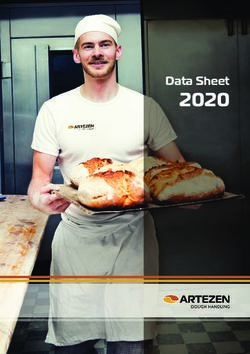 2020 Data Sheet - ARTEZEN