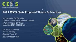 2021 CEOS Chair Proposed Theme & Priorities - Meetings
