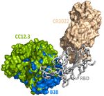 Prediction and mitigation of mutation threats to COVID-19 vaccines and antibody therapies