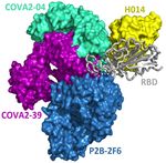 Prediction and mitigation of mutation threats to COVID-19 vaccines and antibody therapies
