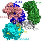 Prediction and mitigation of mutation threats to COVID-19 vaccines and antibody therapies