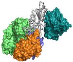 Prediction and mitigation of mutation threats to COVID-19 vaccines and antibody therapies