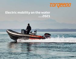 Electric mobility on the water - ENGLISH 2021