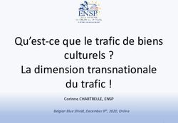 Qu'est-ce que le trafic de biens culturels ? La dimension transnationale du trafic ! - Corinne CHARTRELLE, ENSP