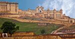 Just Tigers And Golden Triangle Tour - 15 nights, 16 days - Nature Safari India