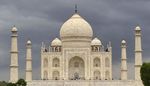 Just Tigers And Golden Triangle Tour - 15 nights, 16 days - Nature Safari India