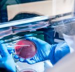 UNITED STATES PHARMACEUTICALS AND BIOPHARMACEUTICALS 2021
