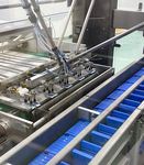 UNITED STATES PHARMACEUTICALS AND BIOPHARMACEUTICALS 2021