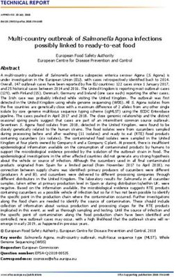 TECHNICAL REPORT - Europa EU