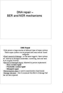 DNA repair - BER and NER mechanisms
