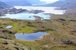 MANAGEMENT PLAN 2016-2020 - Kujataa a subarctic farming landscape in Greenland