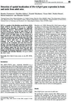 Detection of spatial localization of Hst-1/Fgf-4 gene expression in brain and testis from adult mice