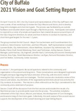 City of Buffalo 2021 Vision and Goal Setting Report