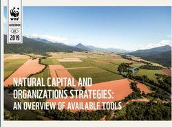 NATURAL CAPITAL AND ORGANIZATIONS STRATEGIES: AN OVERVIEW OF AVAILABLE TOOLS 2019 - assets.panda.org