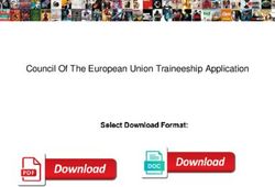 Council Of The European Union Traineeship Application - Polish Voices