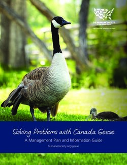 Solving Problems with Canada Geese - A Management Plan and Information Guide humanesociety.org/geese - The Humane Society ...