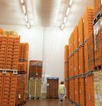 Lighting for industrial refrigeration - Sammode