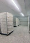 Lighting for industrial refrigeration - Sammode