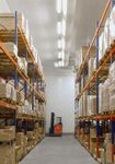 Lighting for industrial refrigeration - Sammode