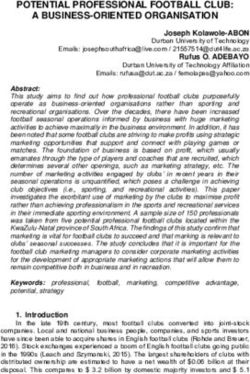 POTENTIAL PROFESSIONAL FOOTBALL CLUB: A BUSINESS-ORIENTED ORGANISATION