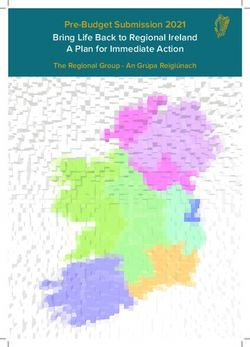 Pre-Budget Submission 2021 Bring Life Back to Regional Ireland A Plan for Immediate Action - The Regional Group - An Gr&uacute;pa Reigi&uacute;nach