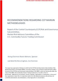 RECOMMENDATIONS REGARDING CCP MARGIN METHODOLOGIES