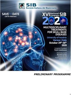 PRELIMINARY PROGRAMME - Ainr