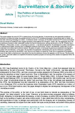 The Politics of Surveillance: Big Brother on Prozac