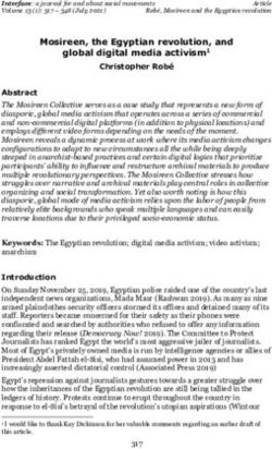 Mosireen, the Egyptian revolution, and global digital media activism1