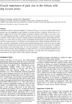 Crucial importance of pack size in the African wild dog Lycaon pictus