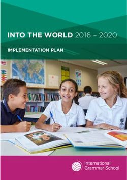 INTO THE WORLD 2016 2020 - IMPLEMENTATION PLAN - International Grammar School