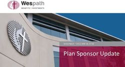 Plan Sponsor Update WEBINAR-DECEMBER 2018 - Wespath Benefits and Investments Extranet