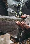 Freshwater Fishing DigestJanuary 2021 - Special Issue: Places to Fish in NJ - NJ Fish and Wildlife