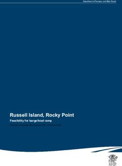 Russell Island, Rocky Point - Feasibility for barge/boat ramp Prepared by Boating Infrastructure Unit - February 2019