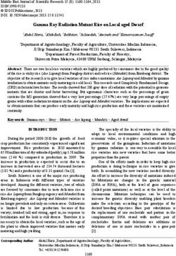 Gamma Ray Radiation Mutant Rice on Local aged Dwarf