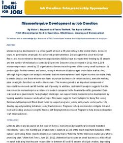Microenterprise Development as Job Creation