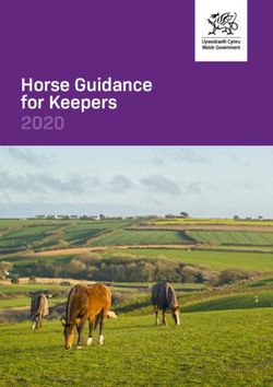 Horse Guidance for Keepers 2020 - GOV.WALES