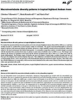 Macroinvertebrate diversity patterns in tropical highland Andean rivers