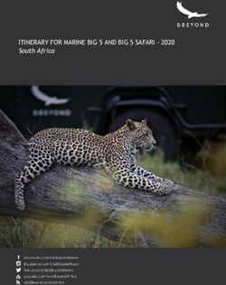 ITINERARY FOR MARINE BIG 5 AND BIG 5 SAFARI 2020 - South Africa - 2020 South ...