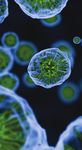 STEM EVENTS AND WORKSHOPS 2019 - Flinders University