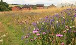 Candidate Information and Application Pack 2021 - bbowt