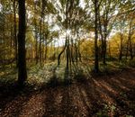 Candidate Information and Application Pack 2021 - bbowt